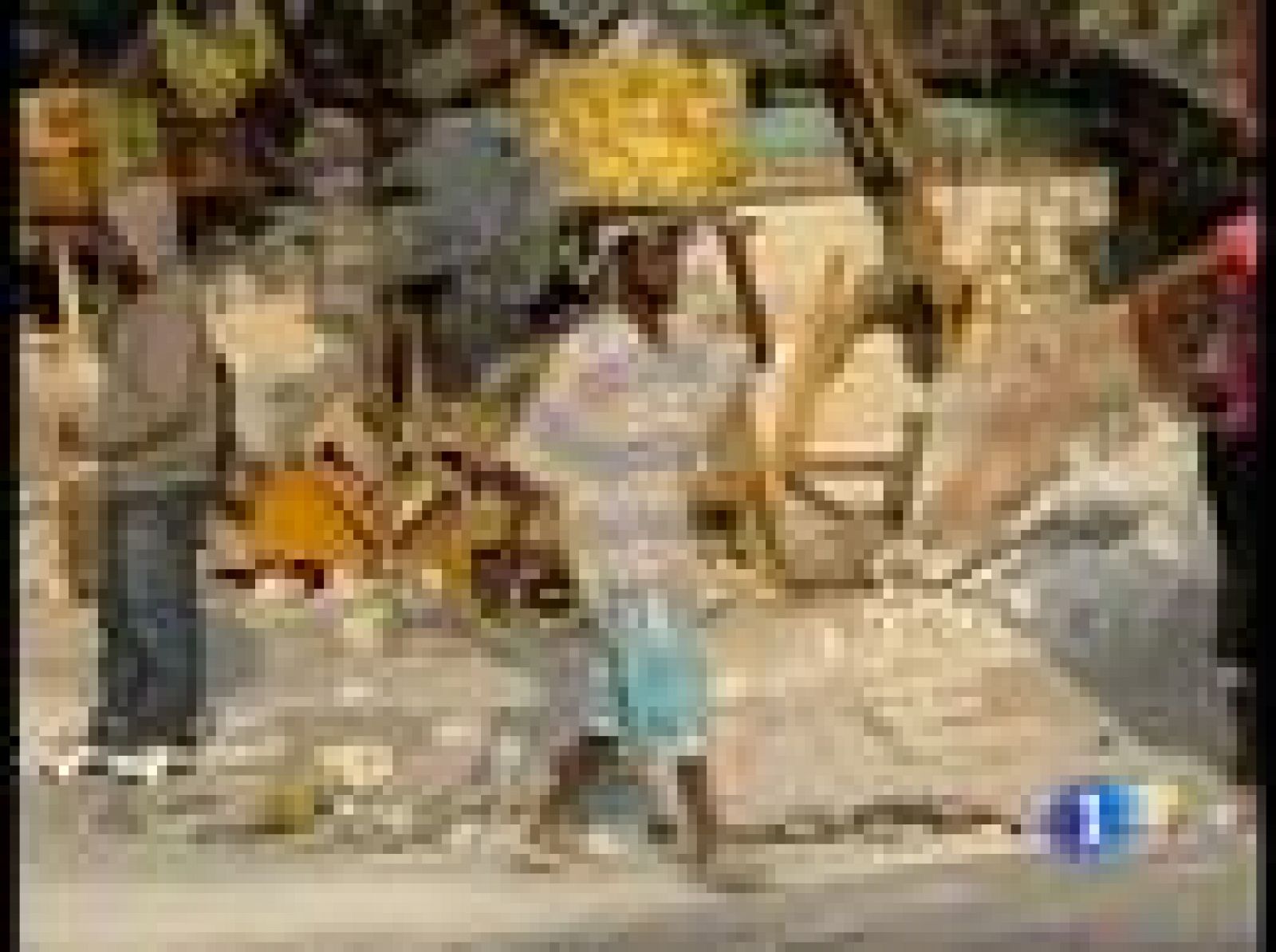 Sin programa: Nuevo terremoto en Haití | RTVE Play