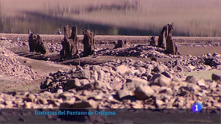 Informativo Telerioja - Informativo Telerioja  - 08/11/22