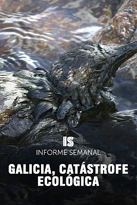 Informe Semanal - Galicia, catástrofe ecológica