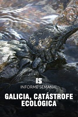 Galicia, catástrofe ecológica