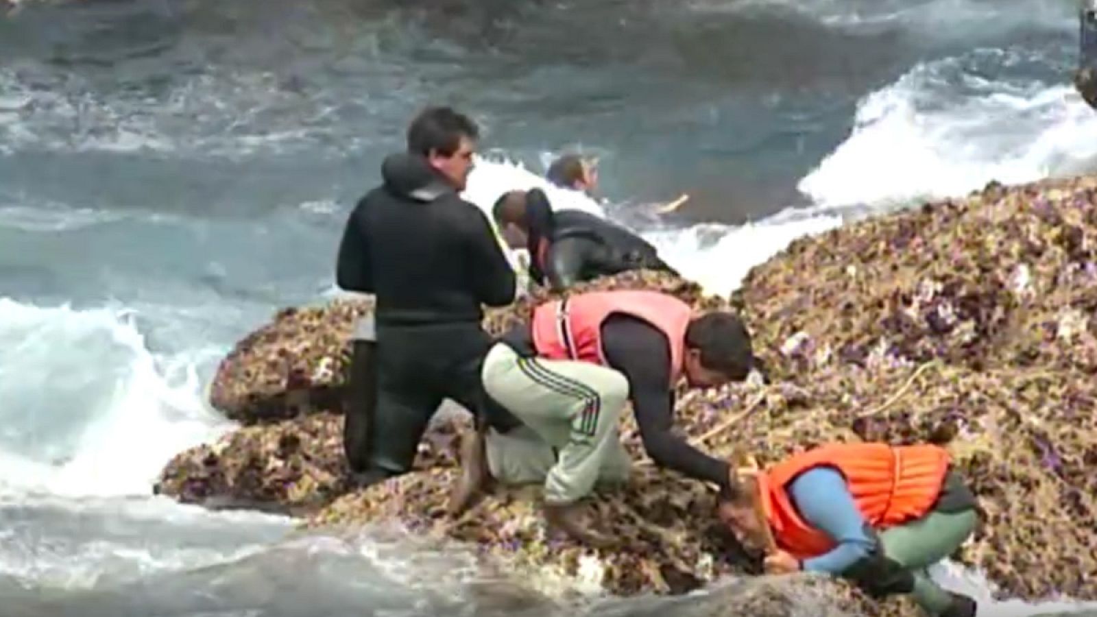 Crónicas - Prestige, tal como fuimos - Crónicas | Ver