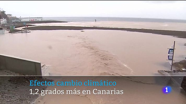 Telecanarias - Canarias en 2' - 08/11/2022