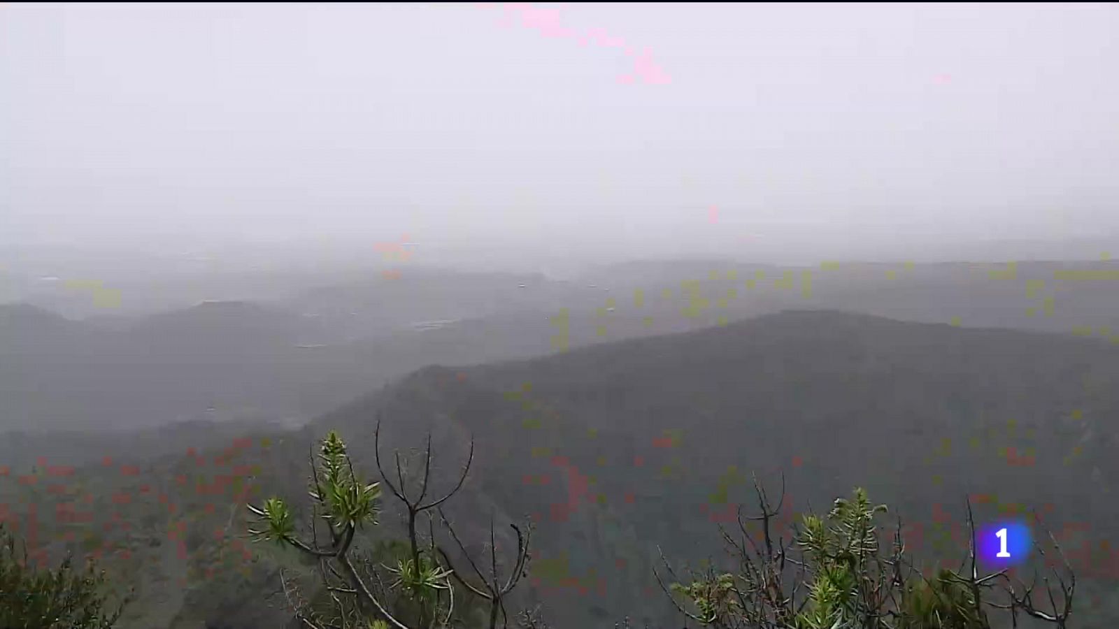 Canarias podría tener una temperatura media de casi dos grados por encima de la actual - Telecanarias | Ver