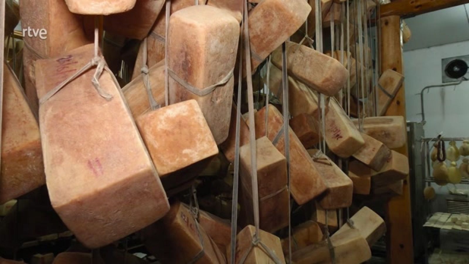 Aquí la Tierra - El queso ragusano, desde Sicilia y con mucho amor