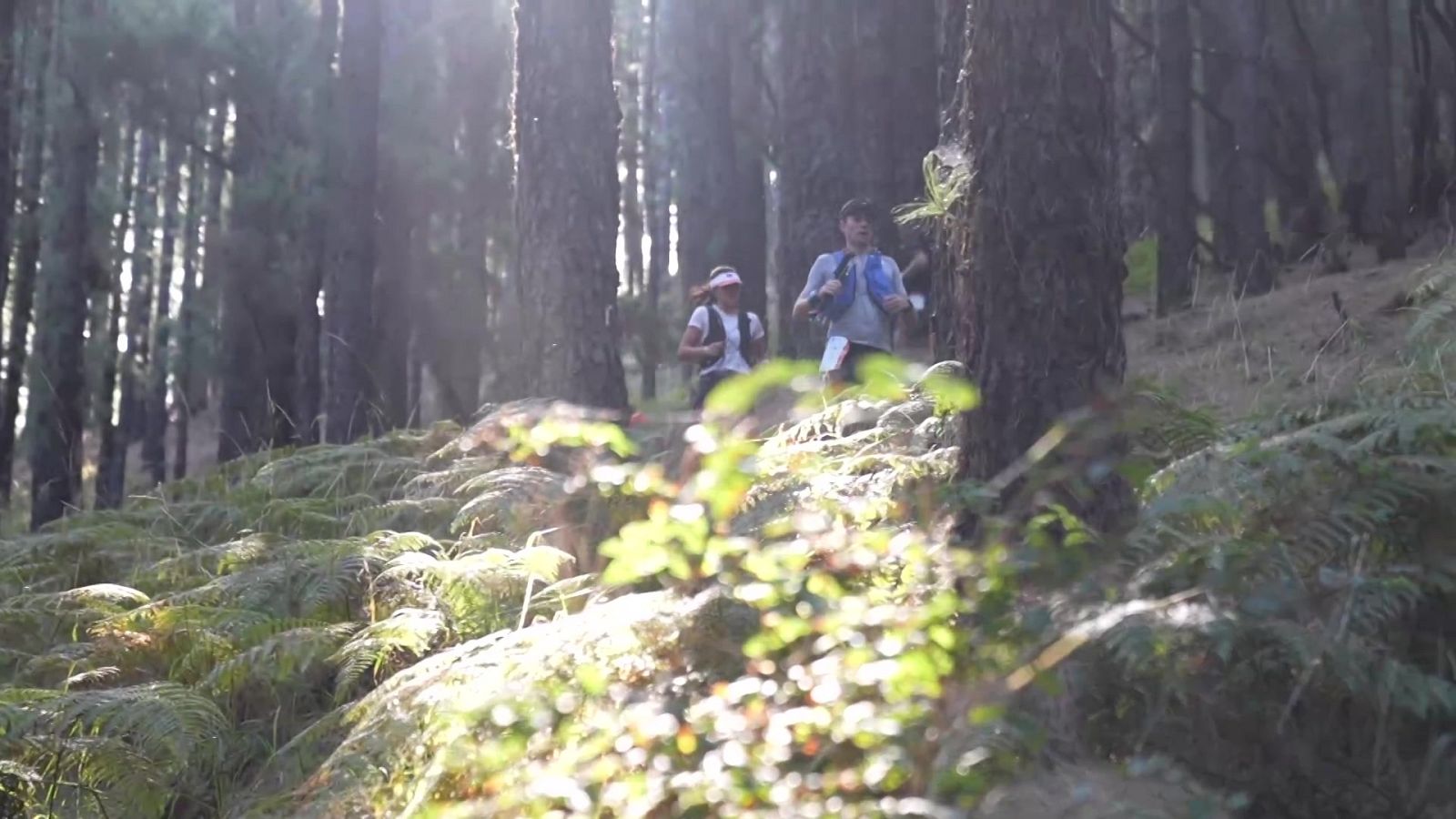 Evasión - Programa 22 - ver ahora