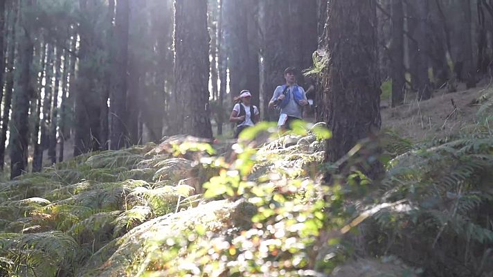 Evasión - Programa 22