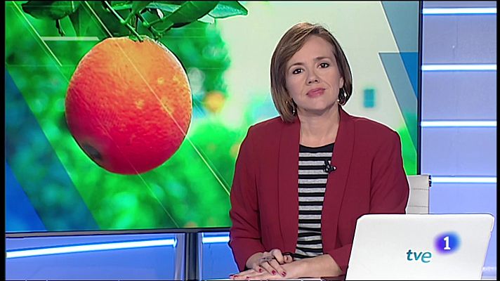 L'informatiu - Comunitat Valenciana - El tall simbòlic de la taronja anuncia l'arribada als mercats de les clementines i taronges