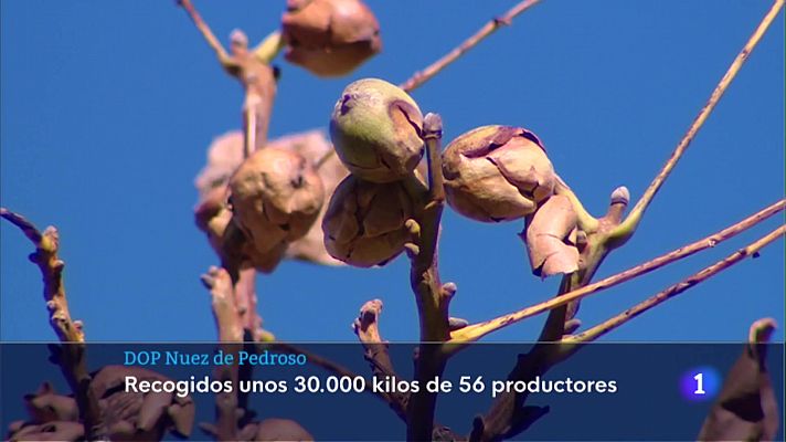 Informativo Telerioja - Informativo Telerioja  - 10/11/22