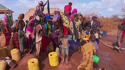 Cop27, buscando un futuro habitable