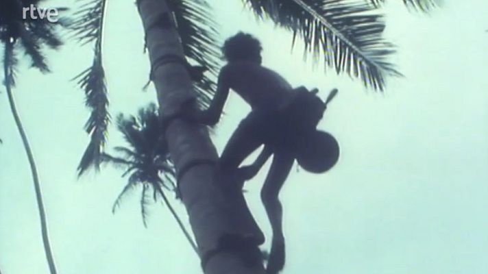 Sri Lanka: los dioses de la jungla