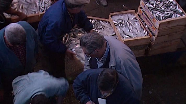 Barcelona retalls - Viure del mar