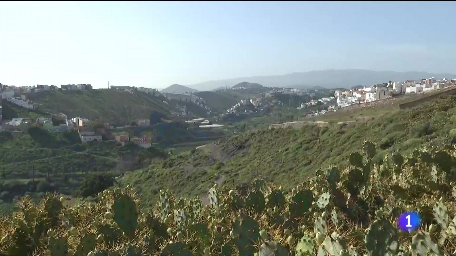 Telecanarias - 12/11/2022