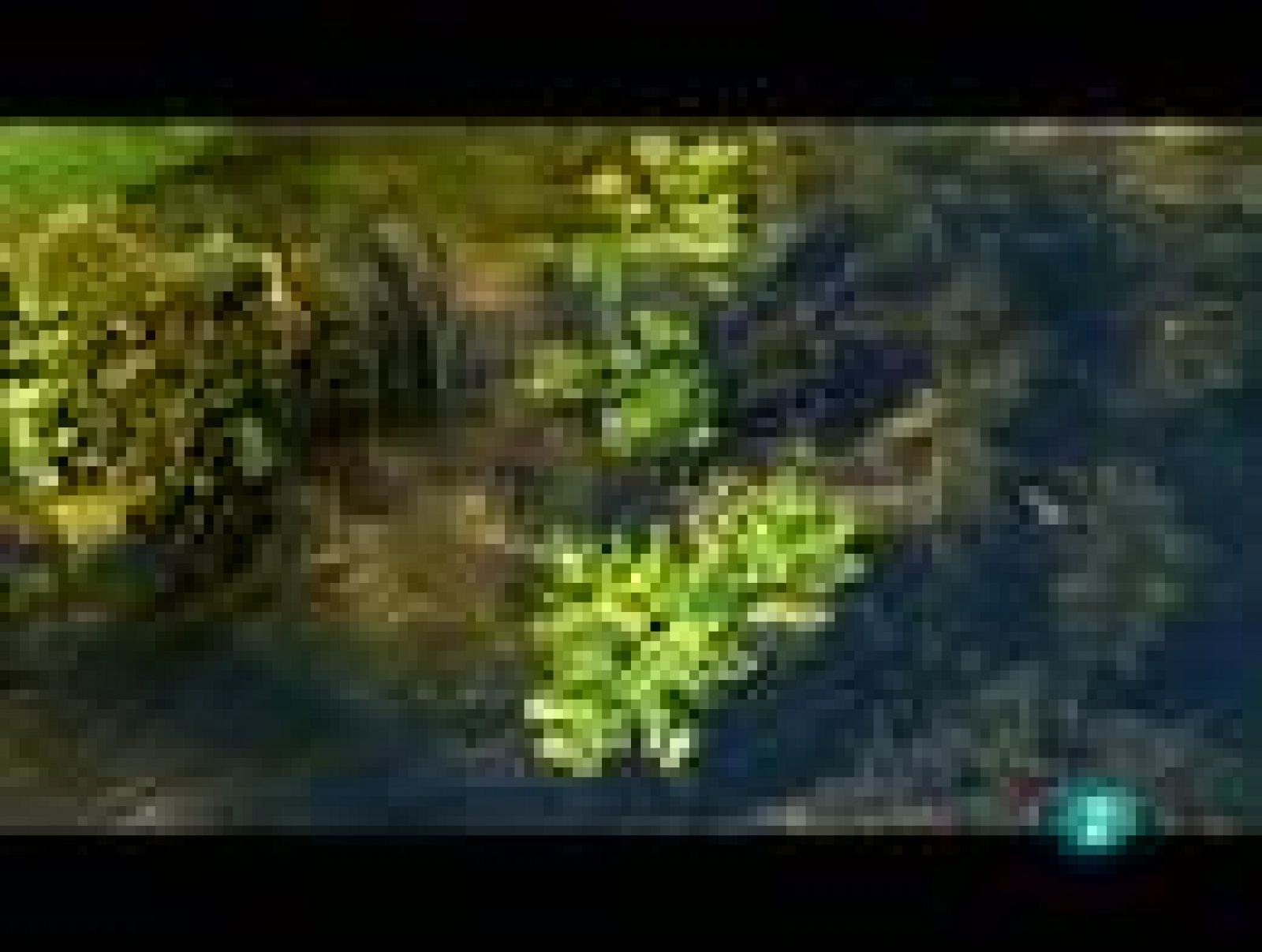 Espacios naturales - Las tareas del agua - Cuencas, cauces y caudales | Ver