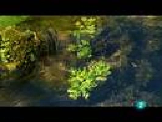 Espacios naturales - Cuencas, cauces y caudales