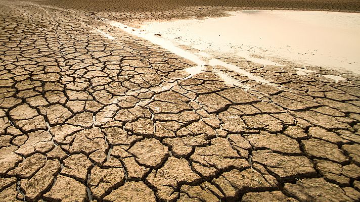 La sed de Doñana