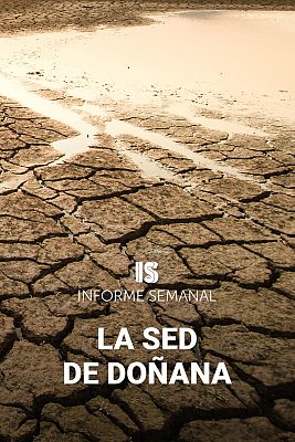 Informe Semanal - La sed de Doñana