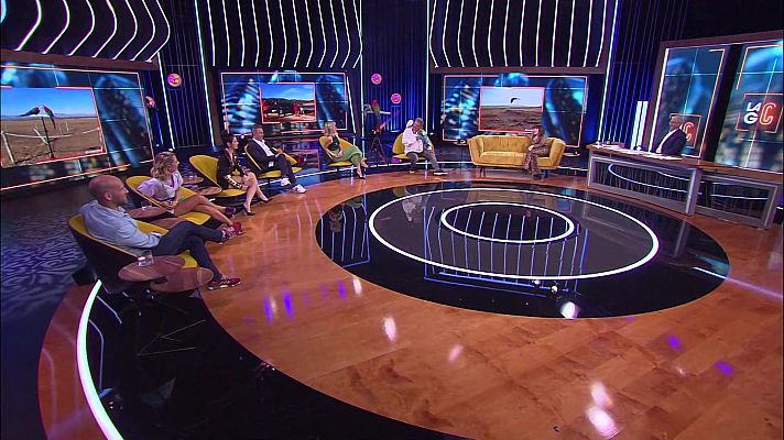 La gran confusión - Programa 8: ¿Nos estamos pasando con las mascotas?