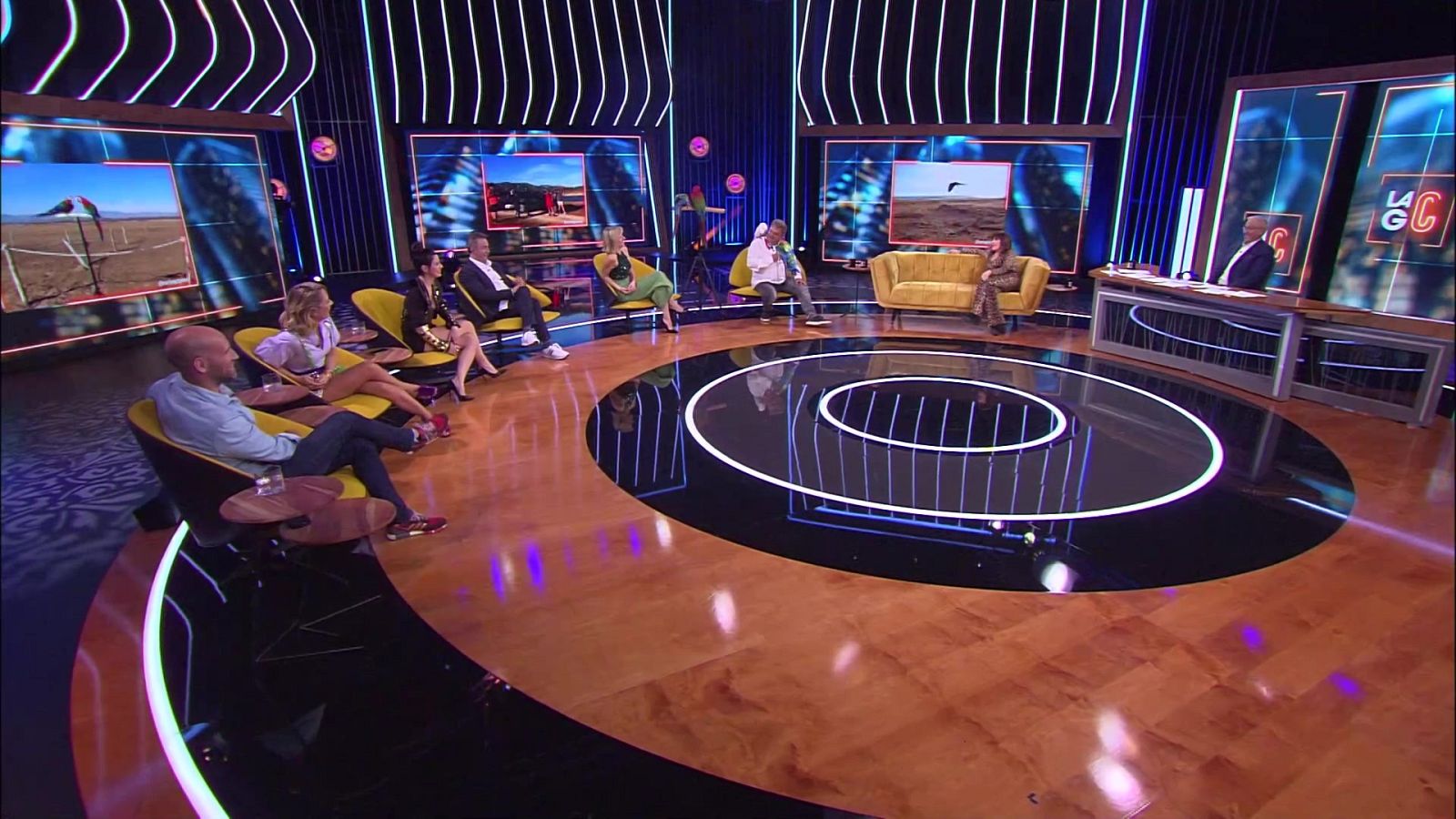 La gran confusión - Programa 8: ¿Nos estamos pasando con las mascotas? - ver ahora