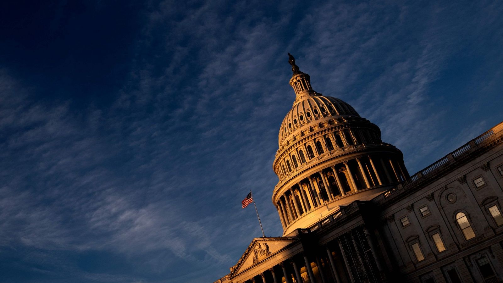 Cerdo martes exposición El Partido Demócrata logra mantener el control del Senado de EE.UU.