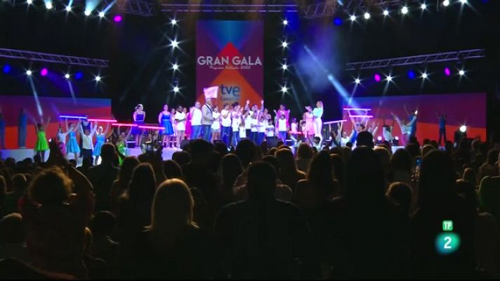 Gran Gala Pequeño Valiente 2022 - 12/11/2022