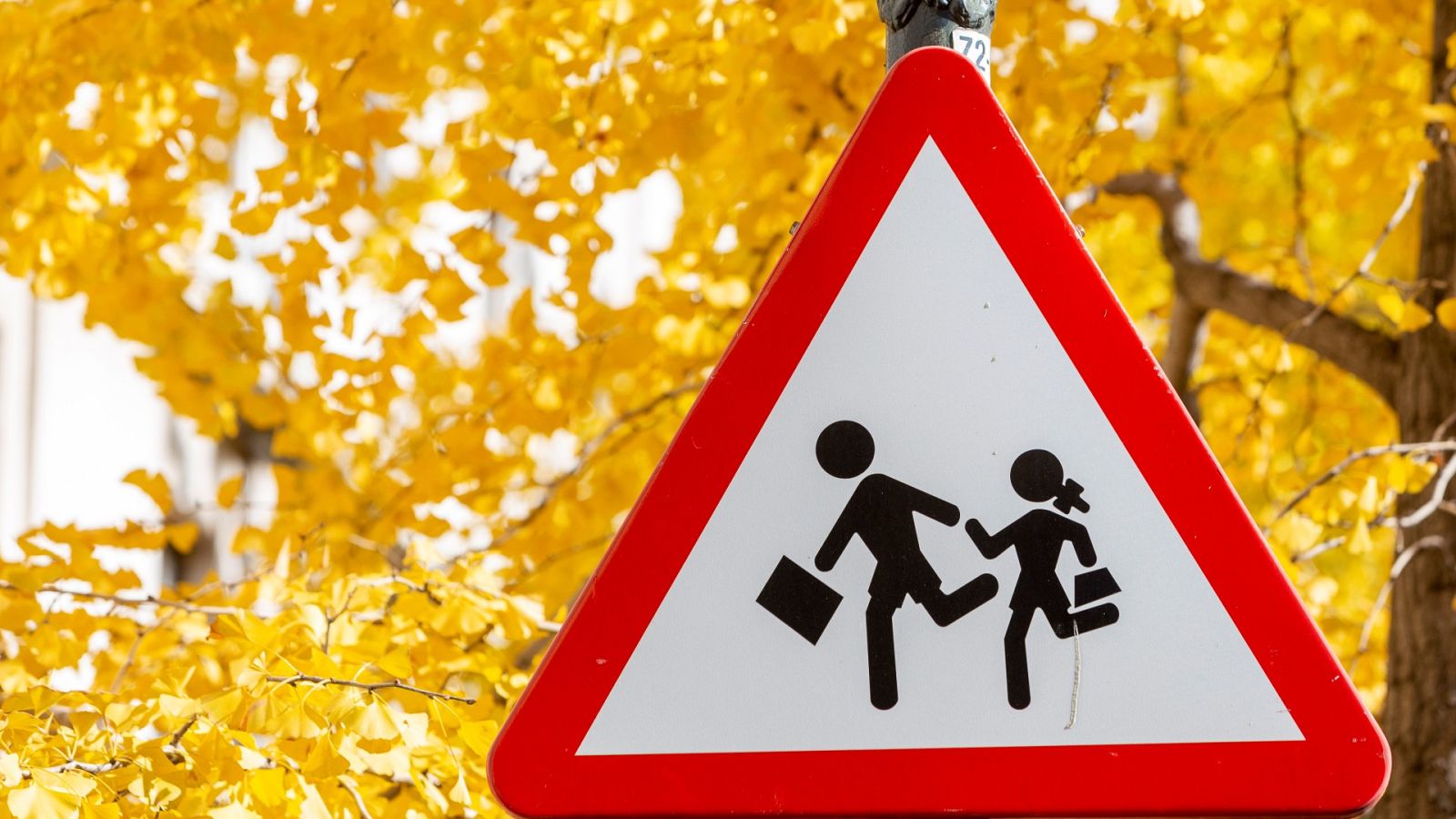 La DGT estudia la inclusión de nuevas señales de tráfico