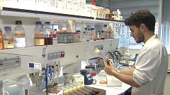 Microbacterias para obtener biogás de mejor calidad y más rápido