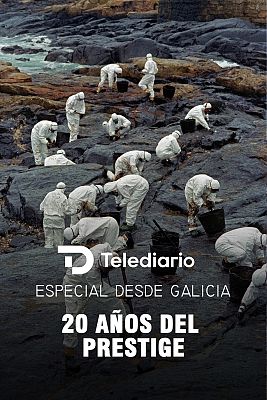 Especiales informativos - Telediario especial '20 años del Prestige'