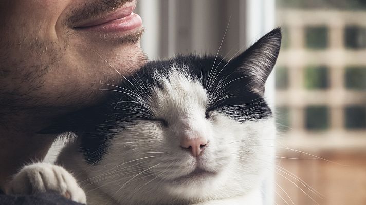 Mapi - Mapi - ¿Por qué ronronean los gatos?