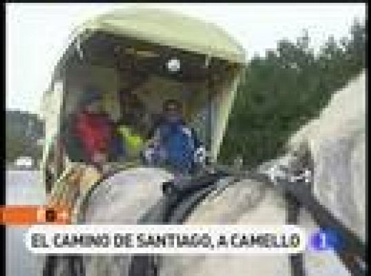 El Camino en camello