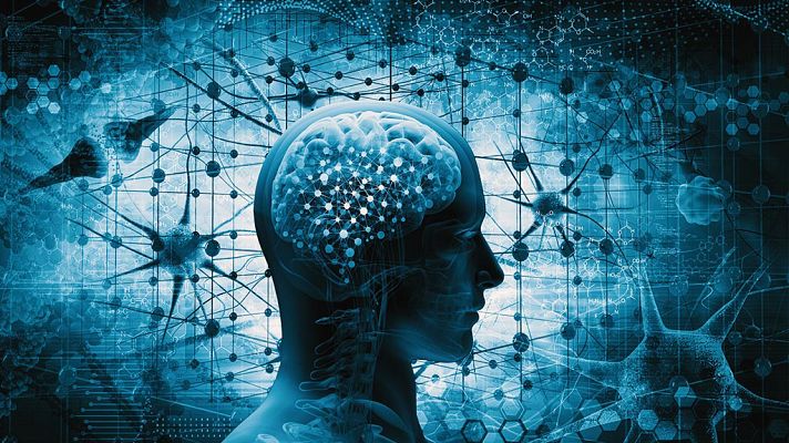 Para todos La 2 - La neurociencia del cuerpo