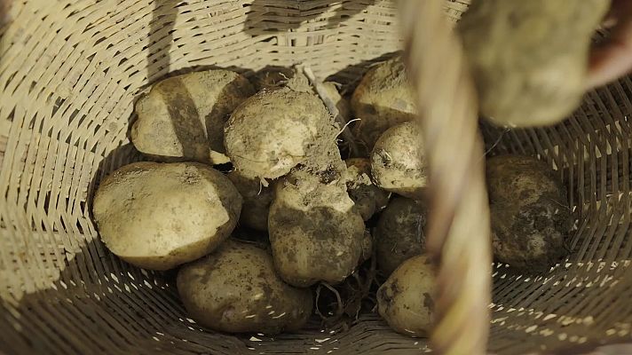 Les patates de Bufet a la Cerdanya | La recepta perduda