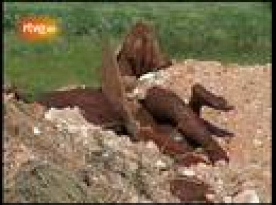  - Haití entierra  muertos