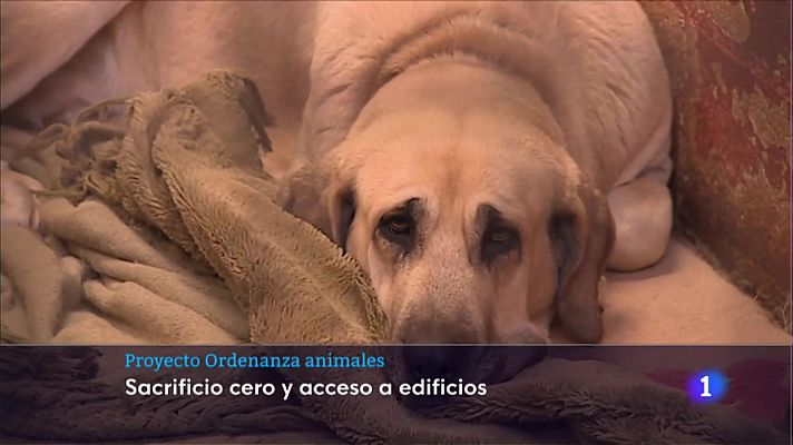 Informativo Telerioja - Informativo Telerioja - 17/11/22