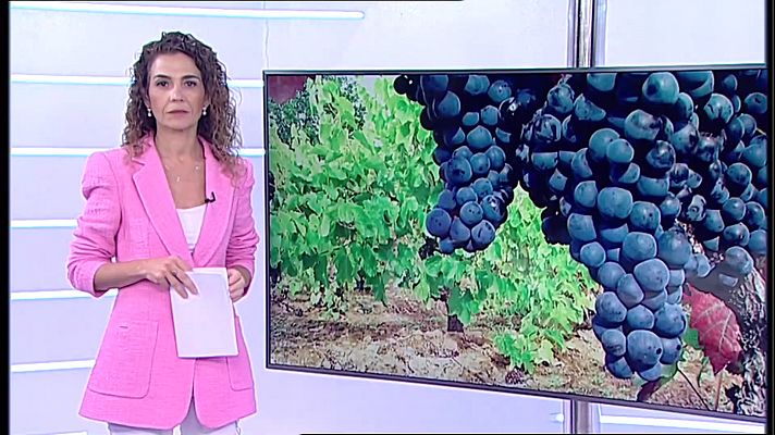 Informativo Telerioja - Informativo Telerioja 2 -  17/11/22