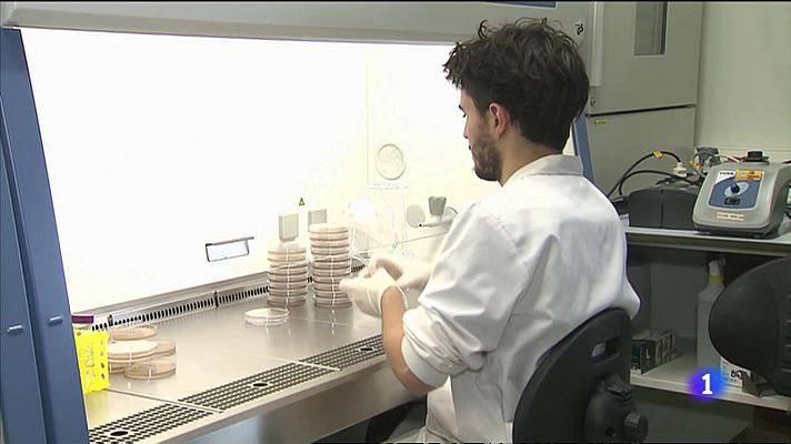 L'informatiu - Comunitat Valenciana - Aras de los Olmos, primer municipio que se autoabastecerá únicamente de una planta de biogás