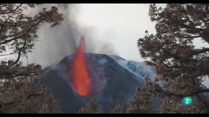 Telecanarias - Telecanarias 2 - 18/11/2022