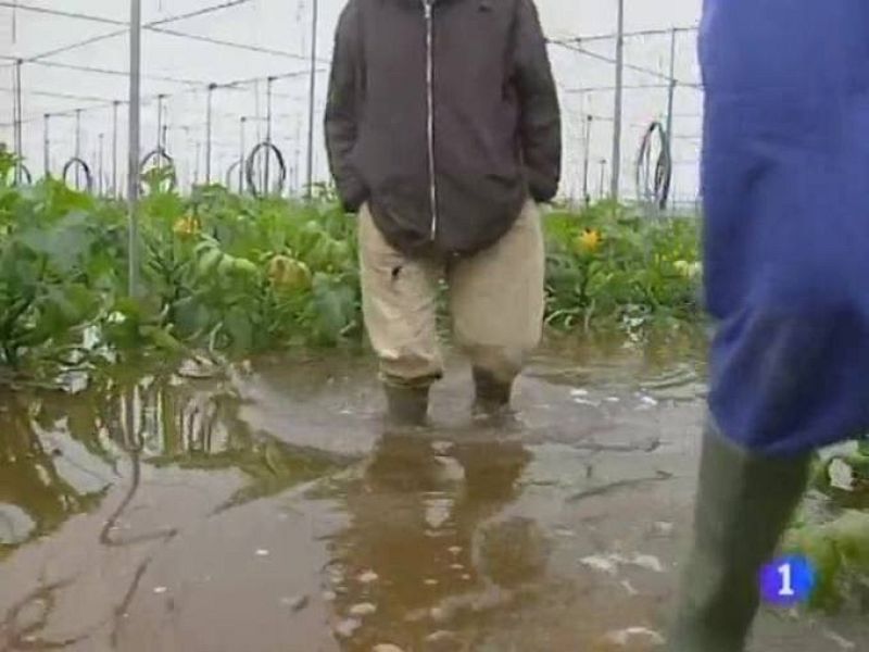  Noticias Andalucía (21/01/10)