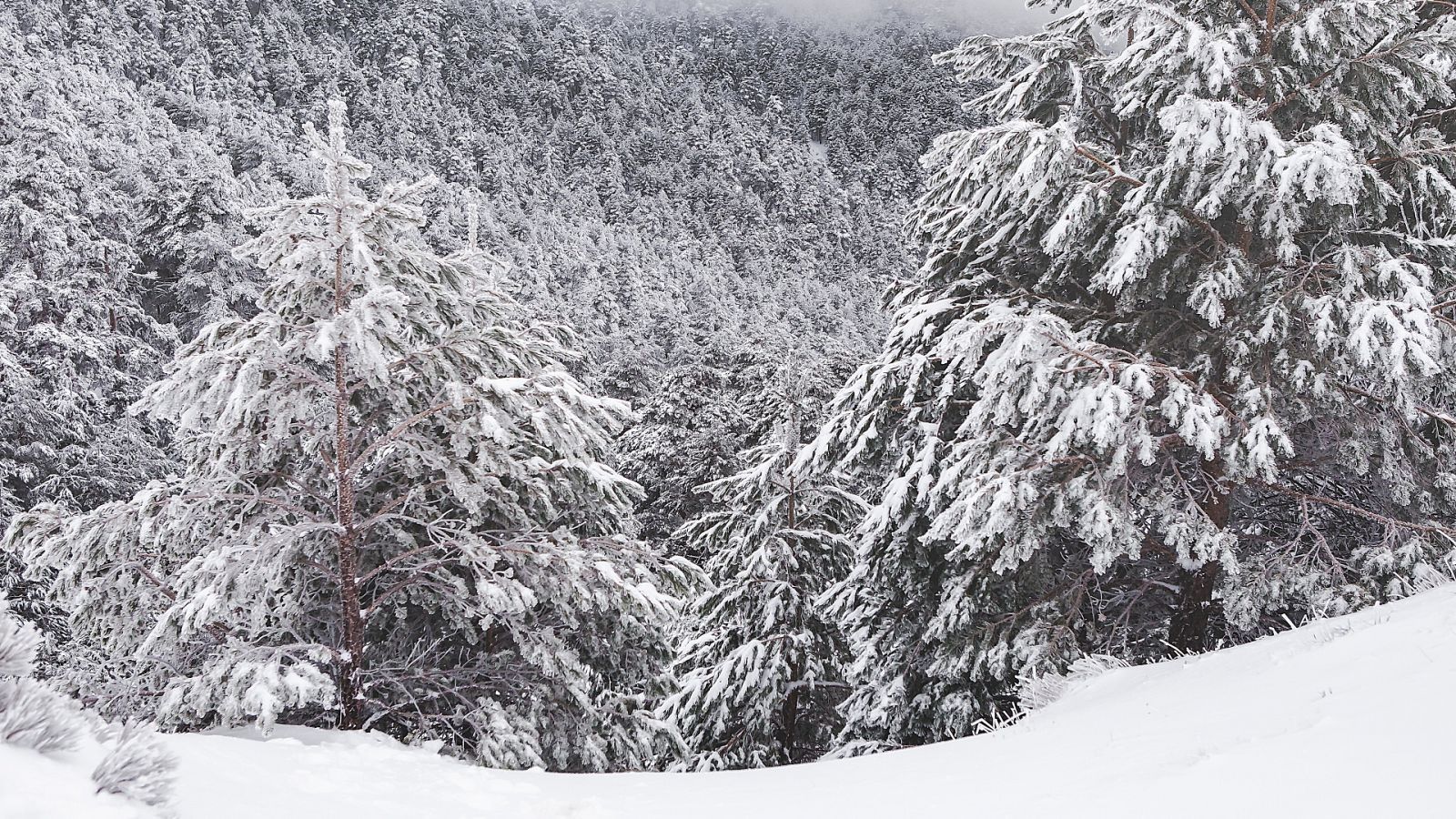 España vive una profunda bajada de temperaturas