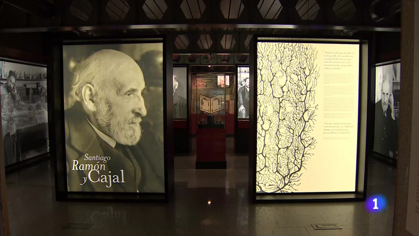 Estamos en la "Semana de la Ciencia" y una exposición en el Museo de Ciencias naturales de Madrid rinde homenaje a Santiago Ramón y Cajal- Ver ahora