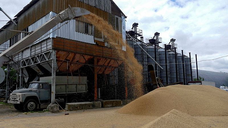 Preocupa el almacenamiento de cereales y verduras en Ucrania