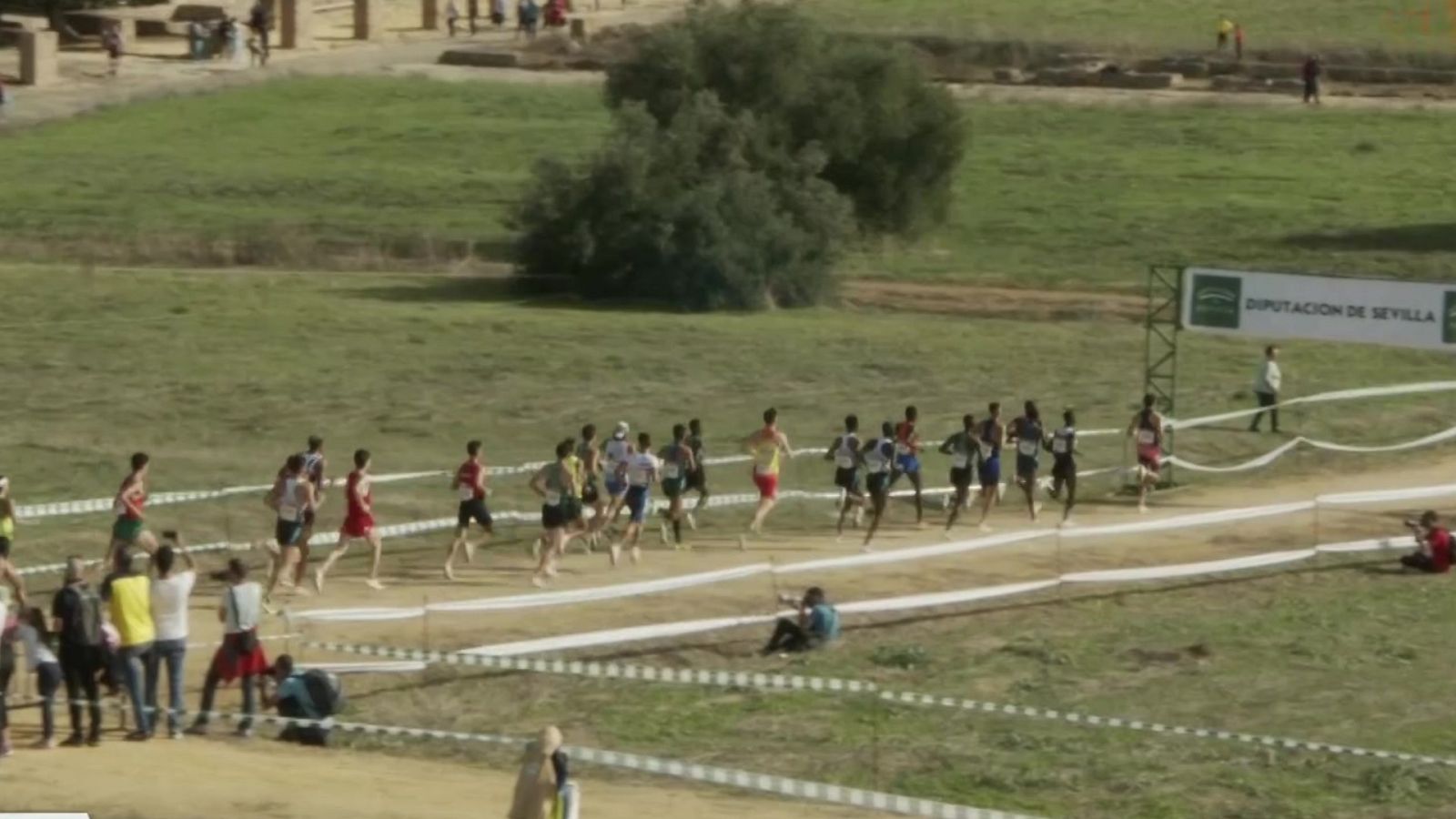 Cross - Cross Internacional de Itálica. Carrera Masculina - ver ahora