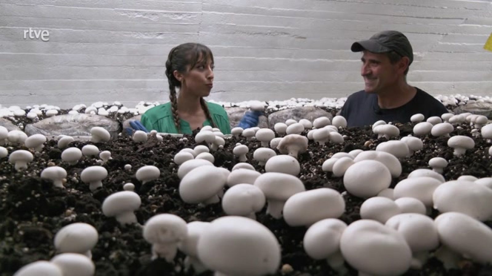 Aquí la Tierra - 20/11/22 - ver ahora