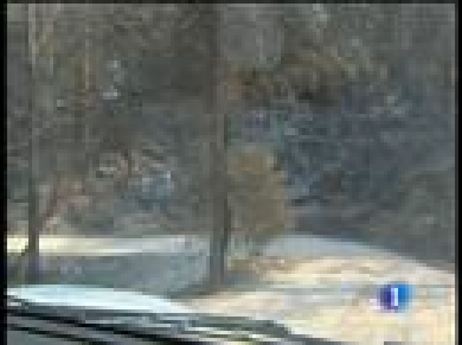 La juez del incendio de Horta de Sant Joan cree que fue intencionado y alimentado con dos bombonas de cámping gas | Ver