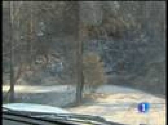  - Fue intencionado y alimentado