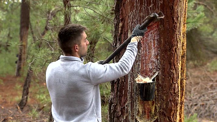 Aquí hay trabajo - Aquí hay trabajo - 21/11/22
