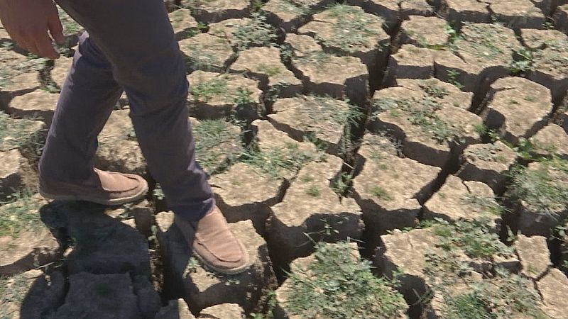 Sequía y agricultura en Andalucía - Ver ahora