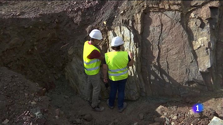 Nuevo yacimiento fósil en Algeciras
