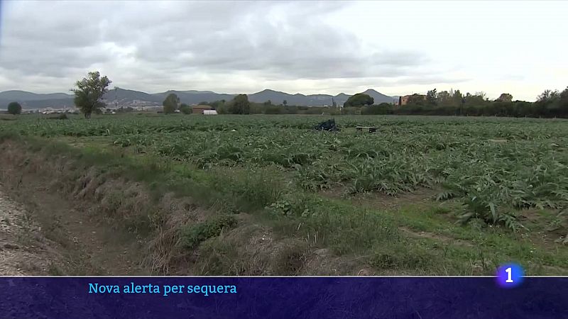 Els sectors més afectats per les restriccions d'aigua: indústria, ramaderia i agricultura