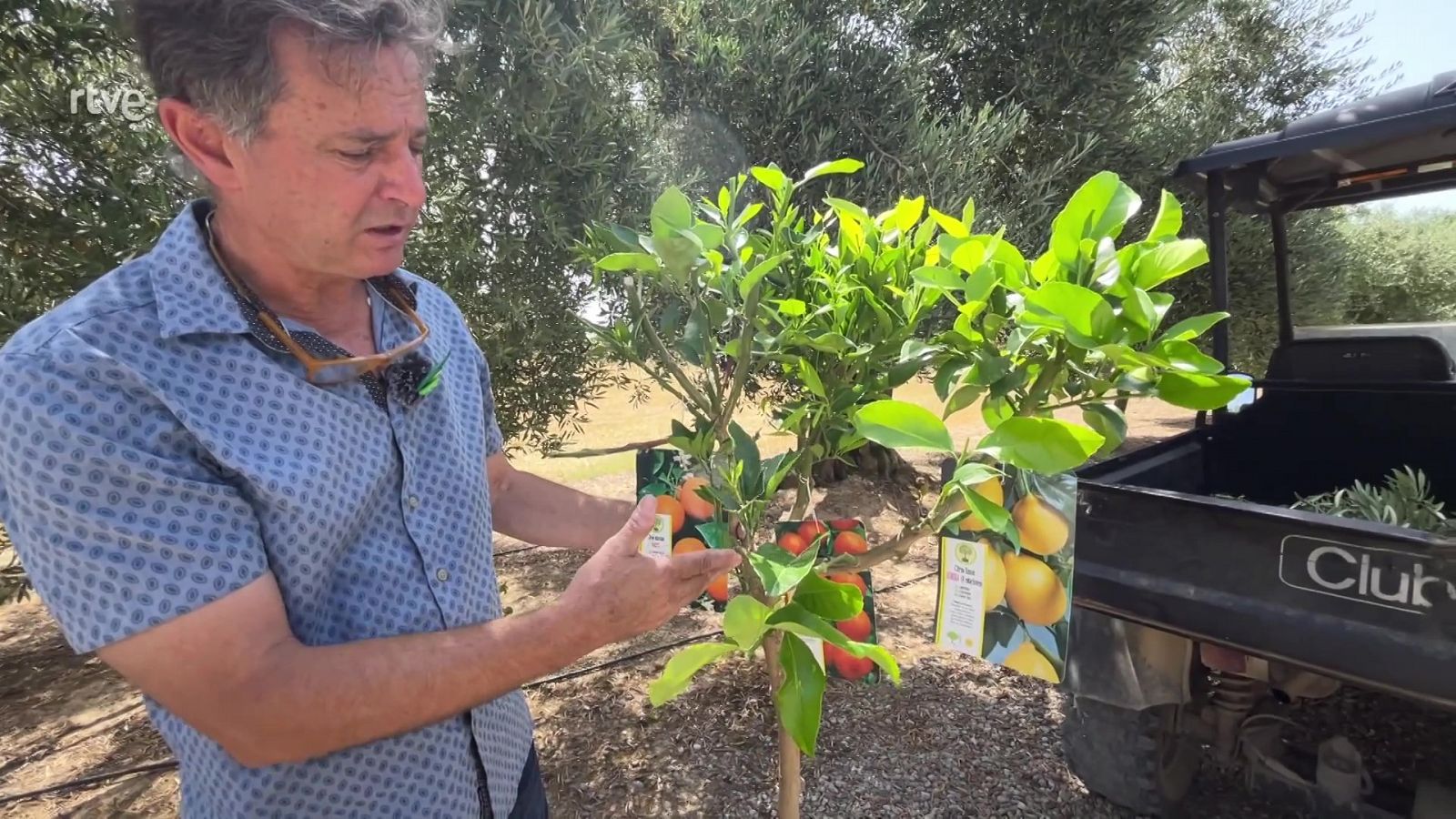 Va de verd - Empeltar no és difícil - veure ara