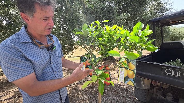 Va de verd - Empeltar no és difícil